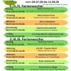 Sommerferien 2026